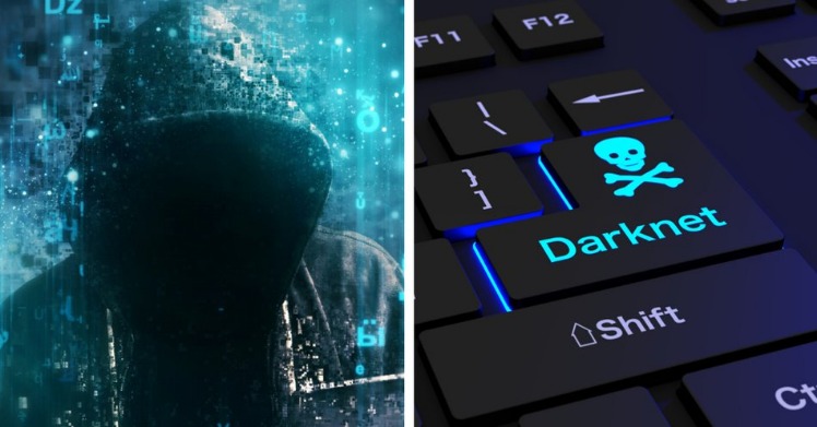 darknet drug dealer
