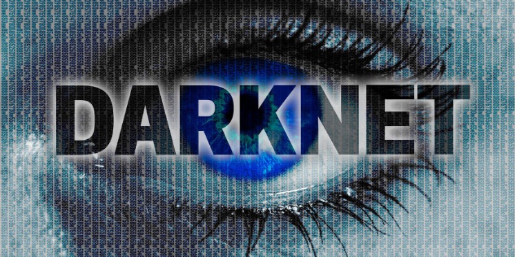 darknet market link updates